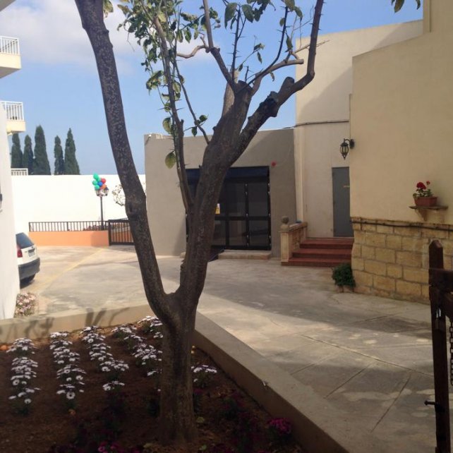 Our Renovation Project! malta,  malta, Orange Tree malta